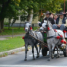 Szüreti felvonulás II.