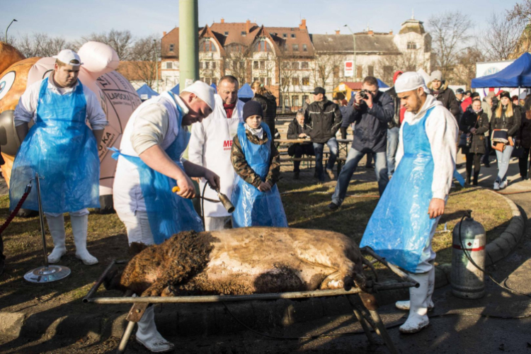 Sorban álltak a disznótoros ételekért Félegyházán