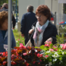 Káprázatos virágkavalkád a városközpontban