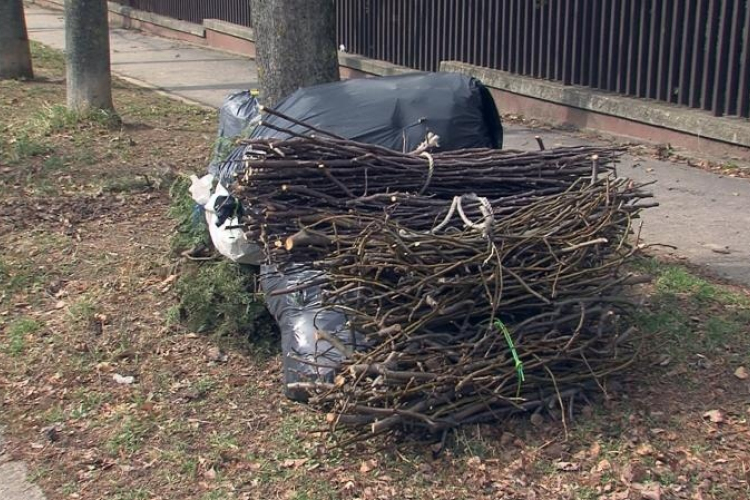 2019. évi Zöldjáratok
