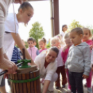 Szüreti mulatság a Darvas téri óvodában