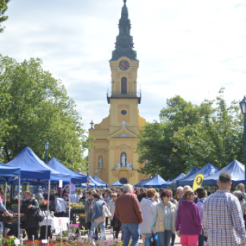 Káprázatos virágkavalkád a városközpontban