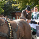 Szüreti felvonulás 2017.