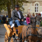 Szüreti felvonulás 2018.