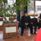 Győzelem a mázsás vasak felett