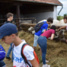 Szórakozás közben tanultak az öko-élménytábor résztvevői