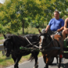 Arató fesztivál Haleszban