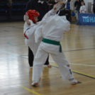 Kiskun Kupa Kyokushin Karate Verseny