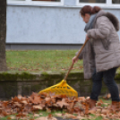 A kossuth-os diákok lelkesen szépítik a főutcát