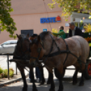 Szüreti felvonulás 2017.