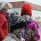 Tavaszi Virágvásárt rendeztek Kiskunfélegyházán