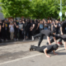 A Zöld nap évről-évre a legnagyobb buli