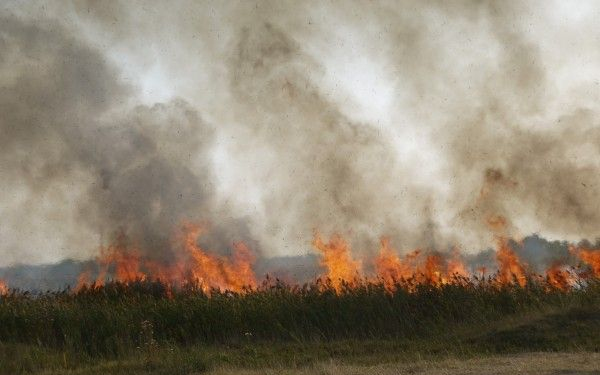 A Kiskun Nemzeti Parkban tűz keletkezett