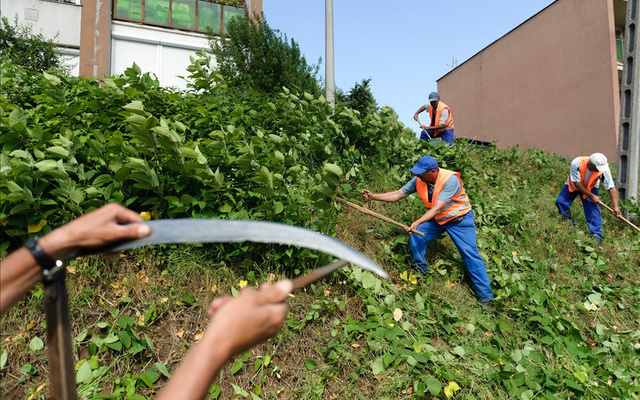 Újabb 184 fő lesz foglalkoztava Kiskunfélegyházán