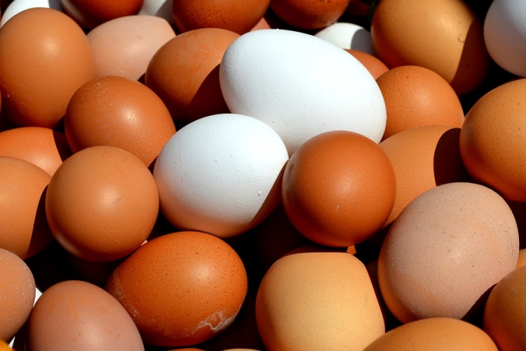 Ismét fipronillal szennyezett tojásokat találtak Németországban