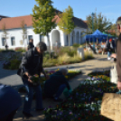 Színes virág kavalkád az őszi virágünnepen