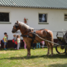 Óvodások látogattak el a Mezgé tangazdaságába