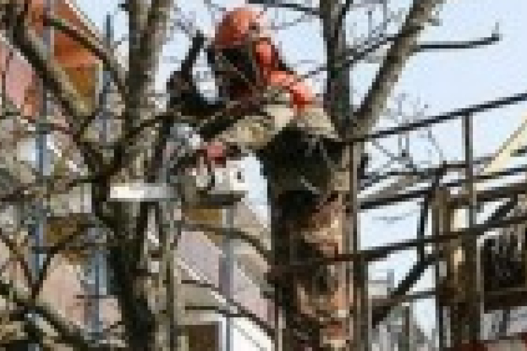 Gallyaznak az áramszolgáltatósok