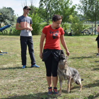 A kutyakiképzés varázslatos világát tárta fel a fiataloknak Rátkai Tamás