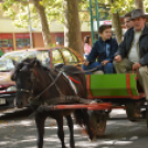 Szüreti felvonulás 2017.