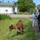 Gyermeknap a Tangazdaságban