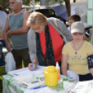 Tökéletes családi kikapcsolódást nyújtott a Mezgés Piknik