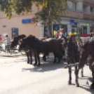 Szüreti felvonulás, borszentelés és bál Kiskunfélegyházán