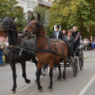 Szüreti felvonulás 2018.