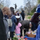 Tavaszi Virágvásárt rendeztek Kiskunfélegyházán