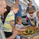 Kezdetét vette a LIBAMULATSÁG