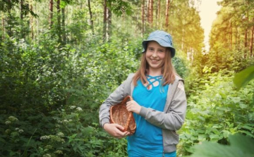 Ehető vadnövények tele vitaminnal