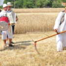 Arató fesztivál Haleszban