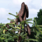 Hétvégi kiruccanás a Szarvasi Arborétum vadregényes tájain