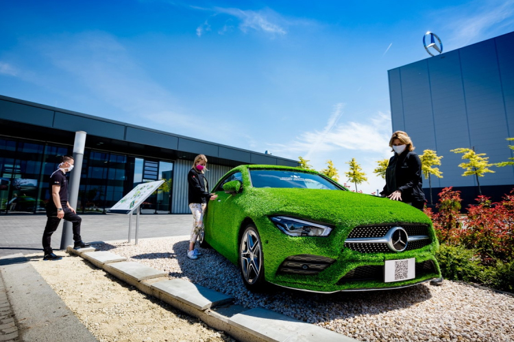 Madárbarát Munkahely díjat kapott a kecskeméti Mercedes-gyár