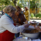 Szilvanapot tartottak a Petőfi lakótelepen