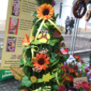 Virágba borult a Béke tér
