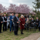 Petőfi Sándor mellszobrot avattak Petőfiszálláson március 15-én