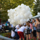 Mindenkit vár a jubileumi libafesztivál