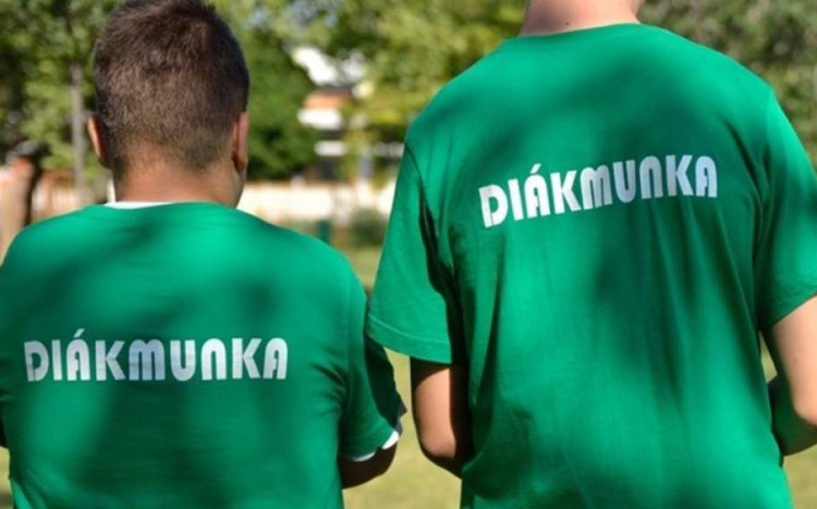 Nyári diákmunkaprogram indul az önkormányzatnál