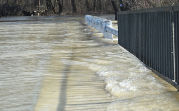 Árad a Tisza Tőserdőnél 