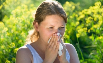 Mit tehetnek az allergiások a parlagfű ellen?