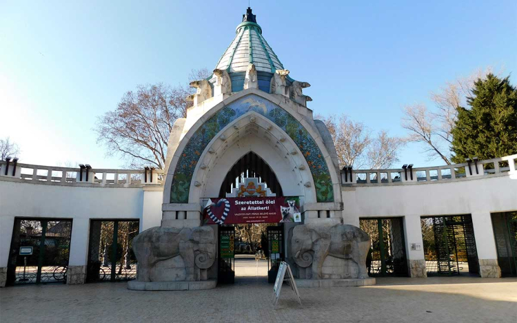 Kína ízeit és a medvék világát mutatják be a Fővárosi Állatkertben a hétvégén