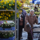 Petőfi lábainál virágba borult a tér