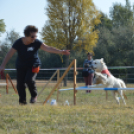 Állati jó nap a felelős állattartás jegyében