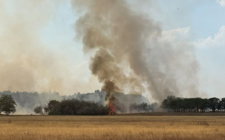 Rendkívüli tájékoztatás: Újabb erdőtűz riasztotta a tűzoltókat