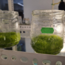 Lassú turizmus és csúcstechnológia – erdélyi szakmai úton a Kiskunfélegyházi Közgazdasági Technikum tanárai