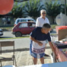 Ki mit tud sütni-főzni a libából