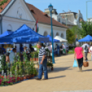 Virágba borult a főtér