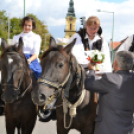 Szüreti felvonulás II.