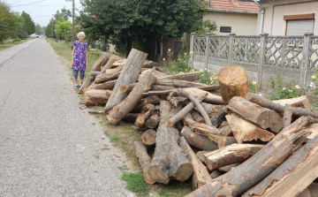 Rendszeresen becsapják a tűzifa-árusok a vevőket